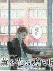 红叶影院资讯配图 回声走廊更新节奏说明